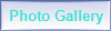 Go to the Photo Gallery